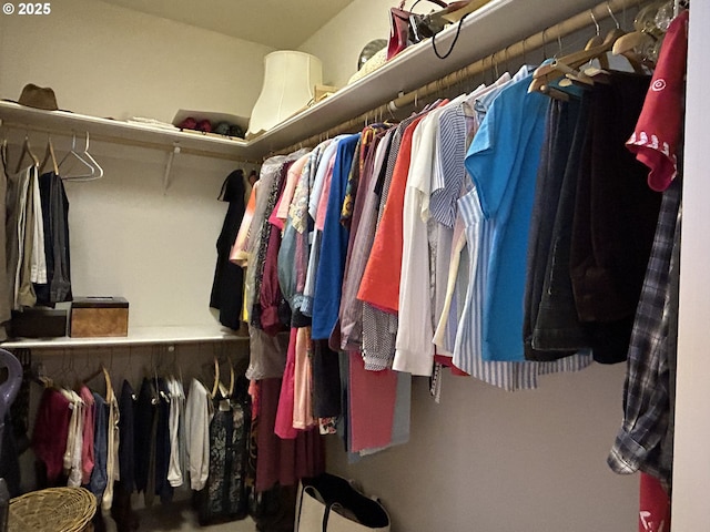 view of spacious closet