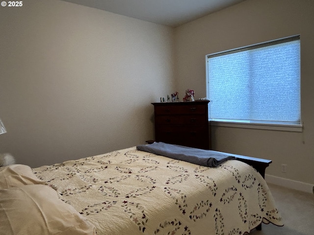 carpeted bedroom featuring multiple windows