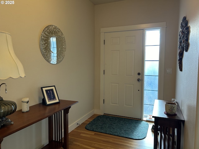 foyer with wood-type flooring