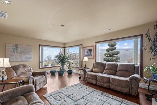 living room featuring dark hardwood / wood-style floors