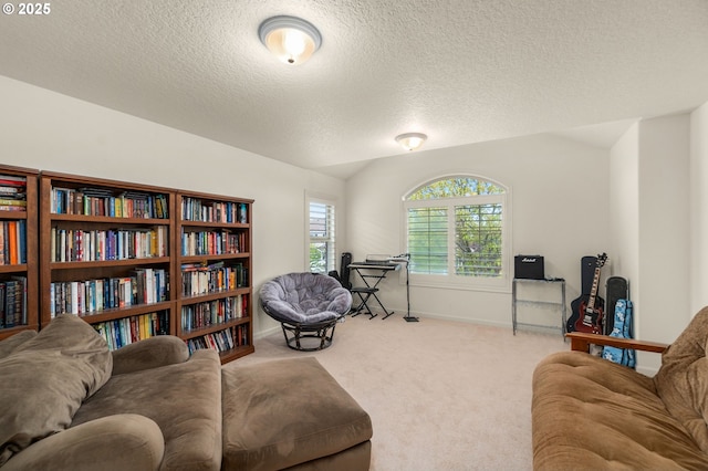 1116 Parkside Ave, Forest Grove, OR 97116 - sitting room featuring carpet, a textured ceiling, and baseboards