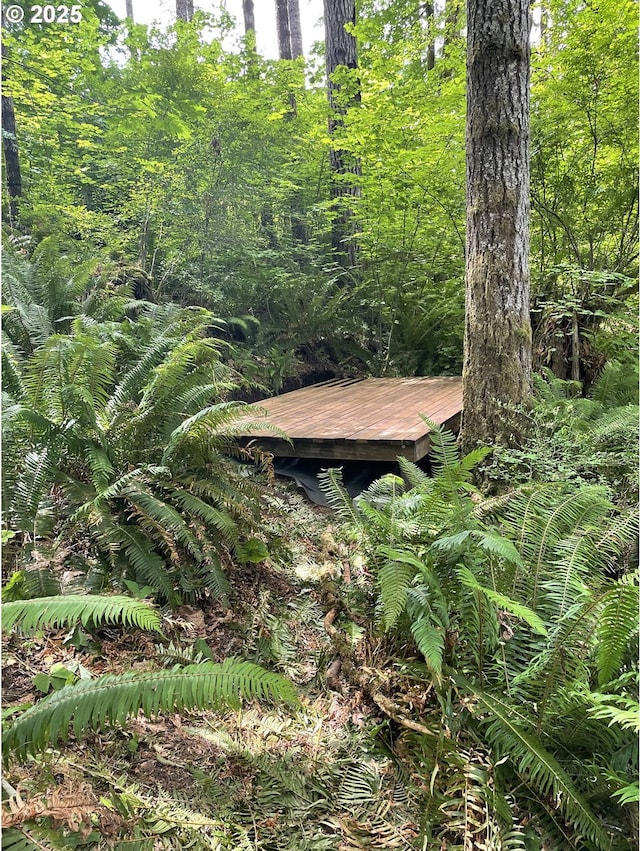 71424 Fishhawk Rd, Clatskanie, OR 97016