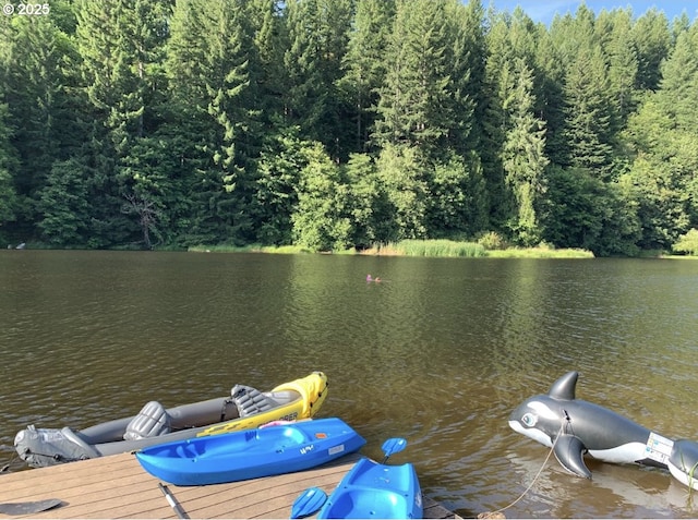 71424 Fishhawk Rd, Clatskanie, OR 97016
