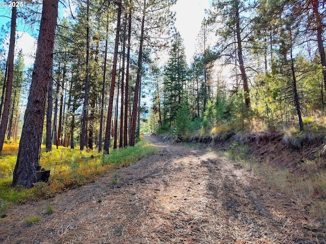 25848 Pine Creek Rd, John Day, OR 97845