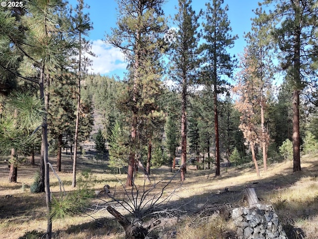 25848 Pine Creek Rd, John Day, OR 97845