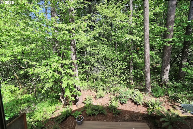 view of local wilderness