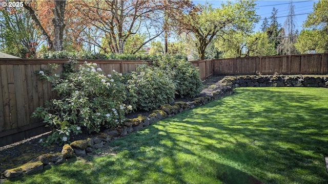 1502 Spring Garden Way, Forest Grove, OR 97116 - view of yard