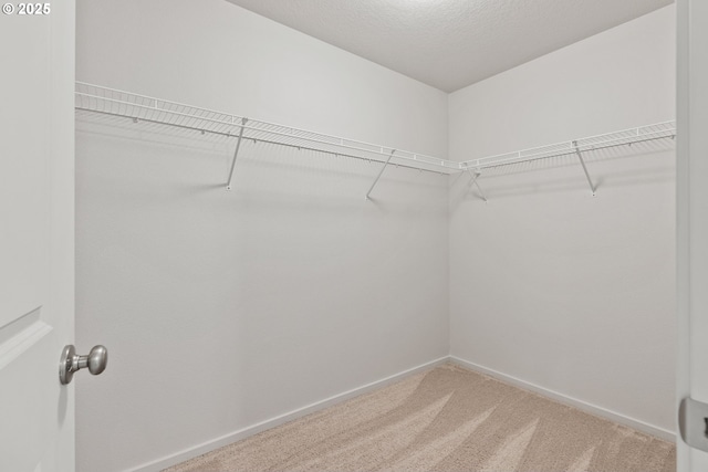 spacious closet with carpet