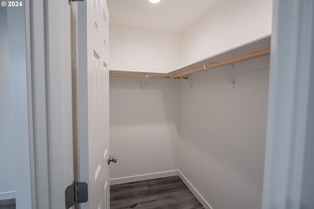 walk in closet with dark hardwood / wood-style floors