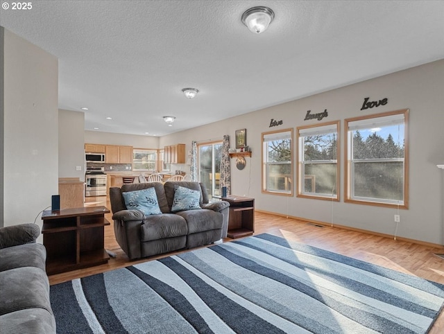 living room featuring a textured ceiling and light wood-type flooring