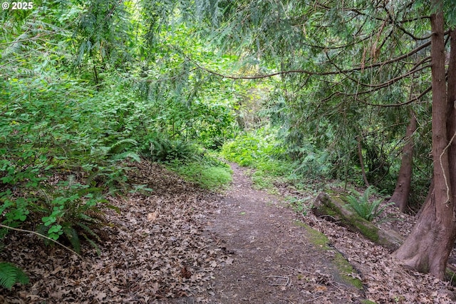 2011 SW 29th Dr, Gresham, OR 97080 - view of tree filled area