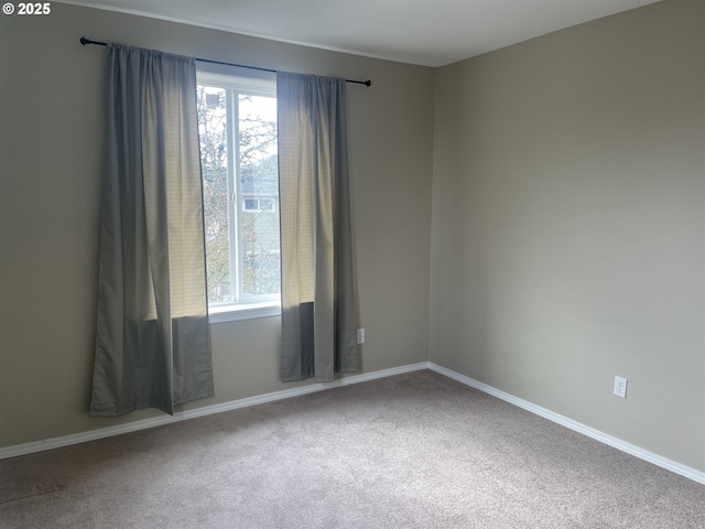 spare room with plenty of natural light and carpet flooring