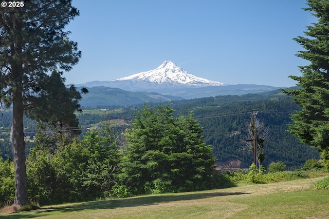 34 Crestview Ln, Underwood, WA 98651
