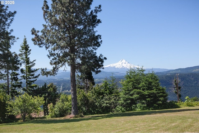 34 Crestview Ln, Underwood, WA 98651