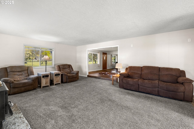 35000 SE Bell Maple Dr, Boring, OR 97009 - living area with carpet flooring and a textured ceiling