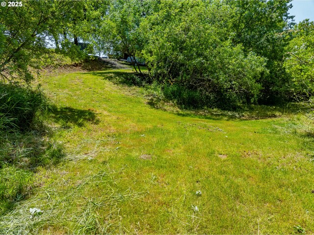 203 N Birch St, Coquille, OR 97423 - view of yard