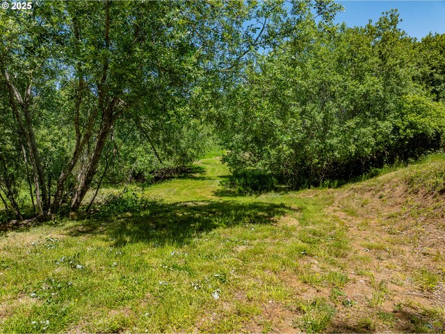203 N Birch St, Coquille, OR 97423 - view of local wilderness
