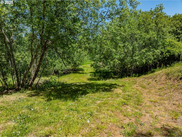 203 N Birch St, Coquille, OR 97423 - view of undeveloped land