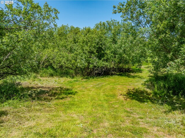 203 N Birch St, Coquille, OR 97423 - view of undeveloped land
