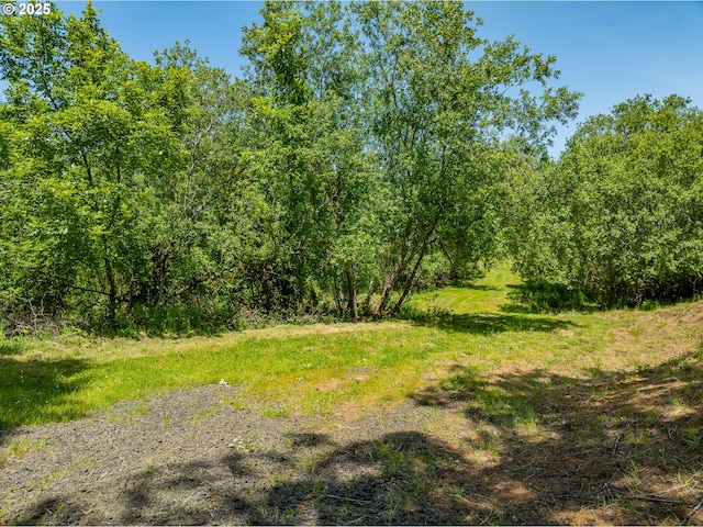 203 N Birch St, Coquille, OR 97423 - view of tree filled area