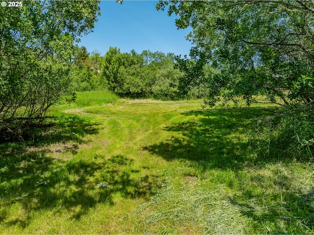 203 N Birch St, Coquille, OR 97423 - view of local wilderness