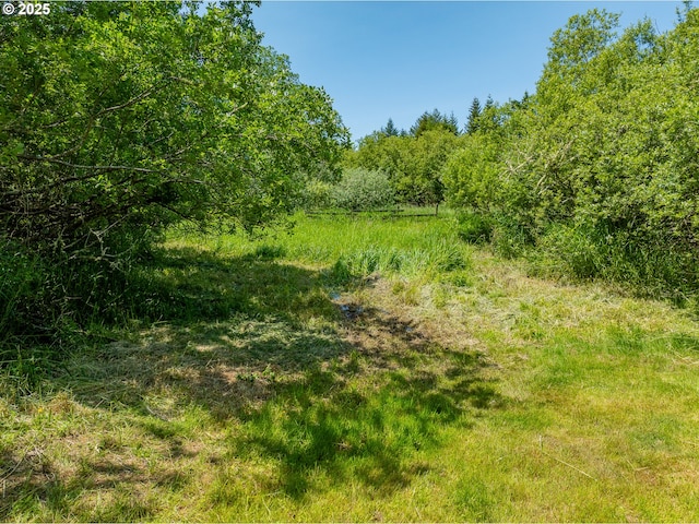 203 N Birch St, Coquille, OR 97423 - view of local wilderness