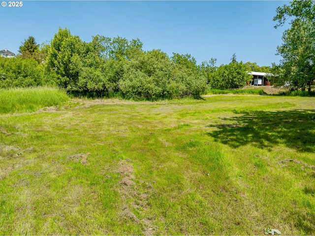 203 N Birch St, Coquille, OR 97423 - view of grassy yard