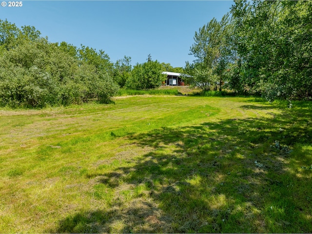 203 N Birch St, Coquille, OR 97423 - view of green lawn