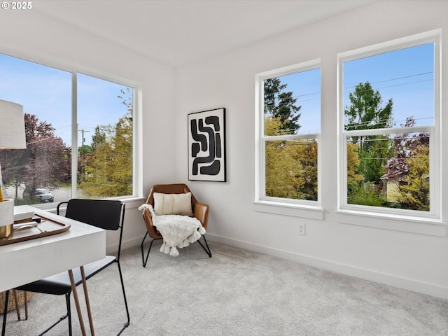 1534 N Schofield St, Portland, OR 97217 - office space with carpet and baseboards