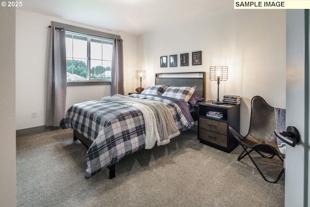 28006 NE 168th Ave, Battle Ground, WA 98604 - bedroom featuring baseboards and carpet flooring