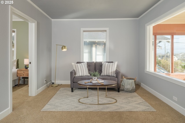 living area with carpet flooring, crown molding, and baseboards