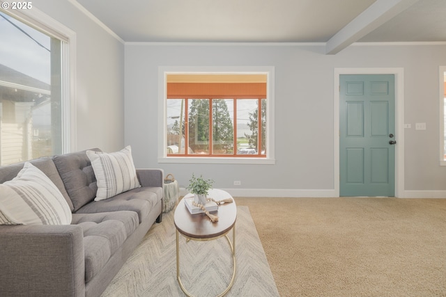 carpeted living room featuring baseboards and ornamental molding