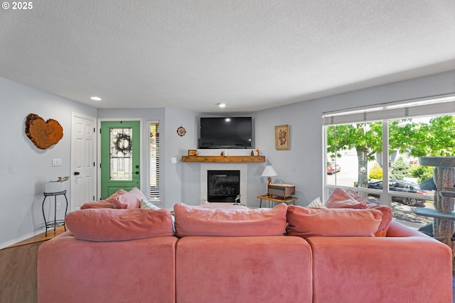3218 SW Corbeth Ln, Troutdale, OR 97060 - living area with a textured ceiling, a glass covered fireplace, wood finished floors, recessed lighting, and baseboards