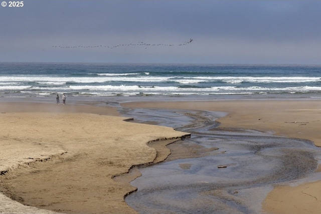 view of water feature featuring a beach view