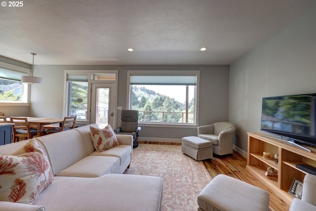 living area featuring baseboards, a textured ceiling, recessed lighting, and wood finished floors