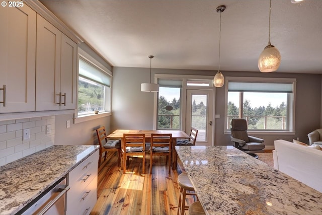 kitchen featuring dishwasher, tasteful backsplash, a wealth of natural light, and light wood-type flooring