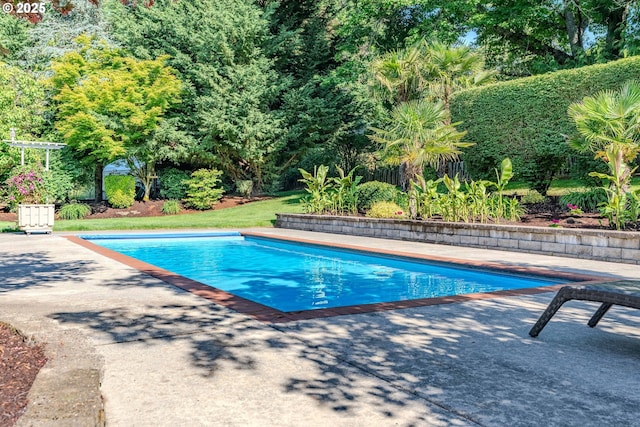 32153 SE Bluff Rd, Gresham, OR 97080 - swimming pool featuring a patio and view of scattered trees
