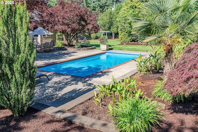 32153 SE Bluff Rd, Gresham, OR 97080 - outdoor pool featuring a patio area