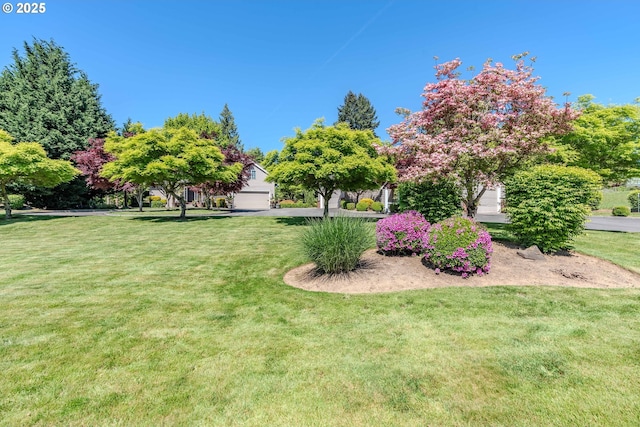 32153 SE Bluff Rd, Gresham, OR 97080 - view of green lawn