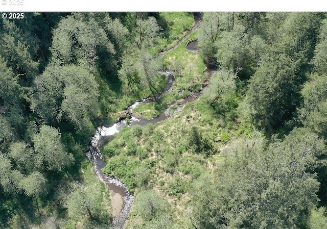 0 NE Elliott Rd Unit 58, Yacolt, WA 98675