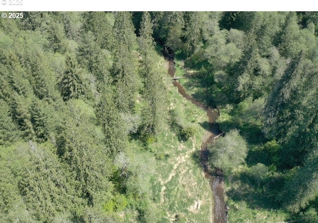 0 NE Elliott Rd Unit 58, Yacolt, WA 98675