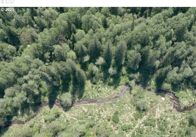 0 NE Elliott Rd Unit 58, Yacolt, WA 98675