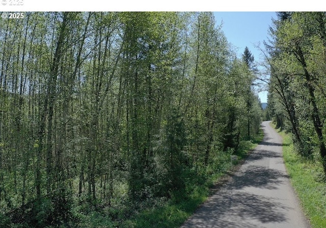 0 NE Elliott Rd Unit 58, Yacolt, WA 98675