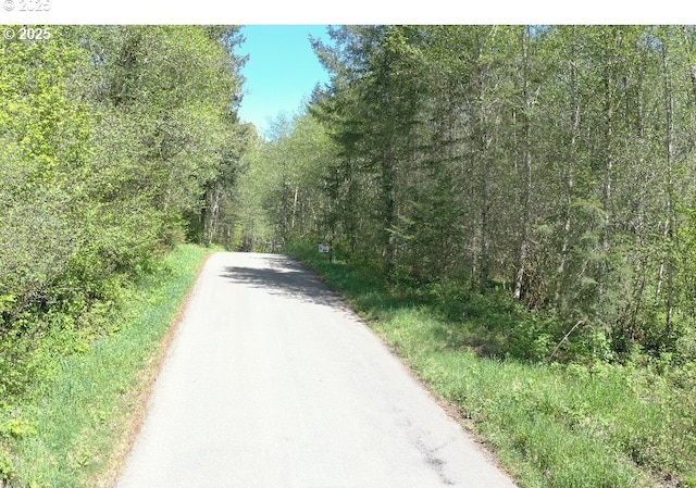 0 NE Elliott Rd Unit 58, Yacolt, WA 98675