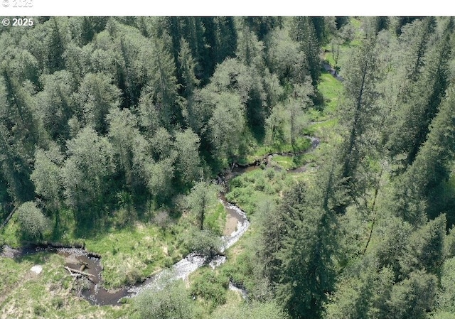 0 NE Elliott Rd Unit 58, Yacolt, WA 98675