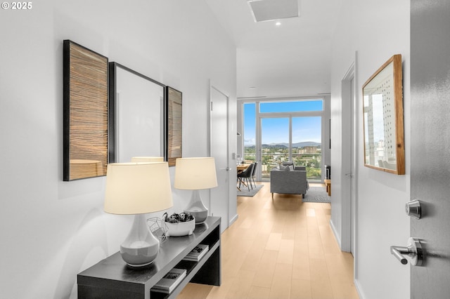 hall featuring light hardwood / wood-style flooring and expansive windows