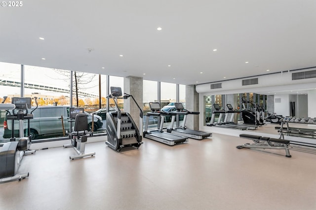 exercise room with a wealth of natural light