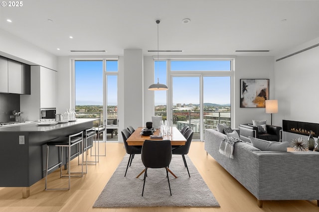 living room with plenty of natural light, a wall of windows, and light hardwood / wood-style flooring