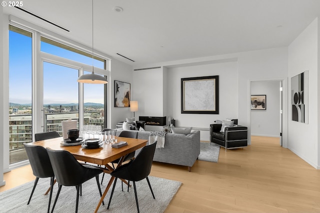 dining room featuring light hardwood / wood-style flooring