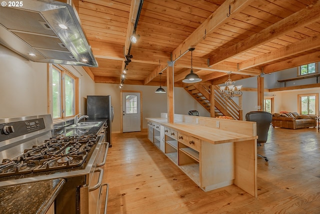 kitchen with open shelves, appliances with stainless steel finishes, ventilation hood, wooden counters, and wood ceiling